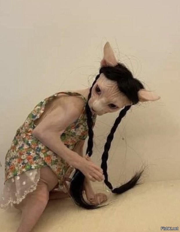 Солянка от 03.12.2021