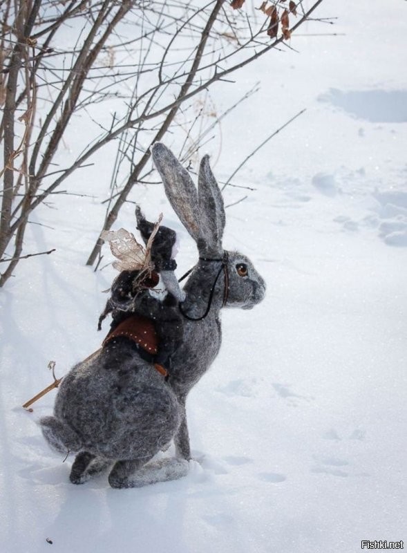 Солянка от 03.12.2021