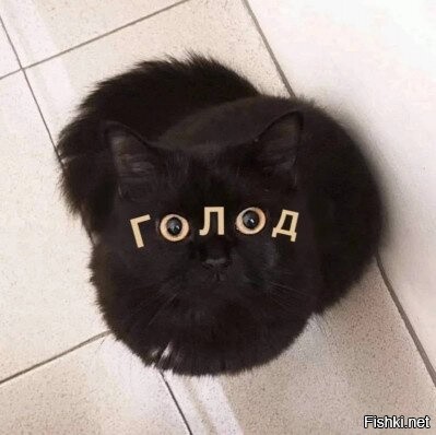 Солянка от 03.12.2021