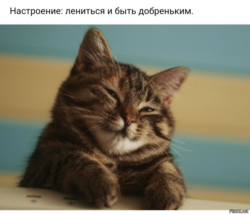 Солянка от 03.12.2021