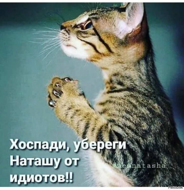 Солянка от 03.12.2021
