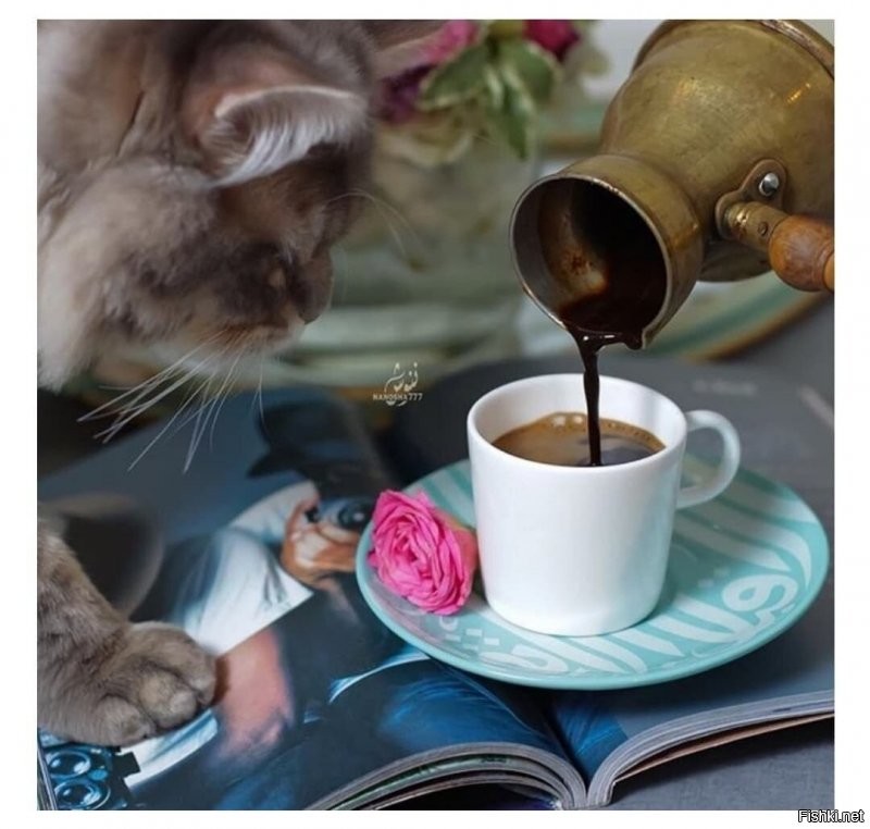 Солянка от 03.12.2021