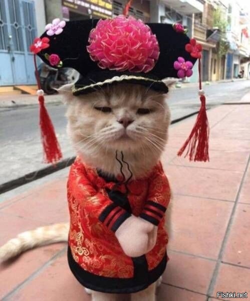 остался месяц чтобы придумать гирлянды на ёлку и на окно для счастья