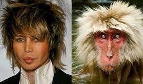 В Твиттере нашли собак, которые похожи на знаменитостей как две капли воды