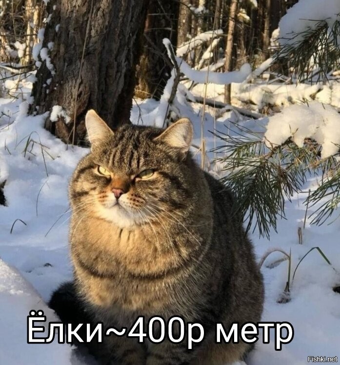 Солянка от 03.12.2021