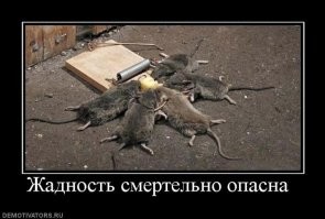 Сразу про Украину подумал... Халява ,она опасна !