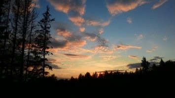 в продолжении к выше сказанному, это у меня вид с терраски, Калужская область, снималось на асус зен фон 4))) ему лет 5, я таких могу много набацать.