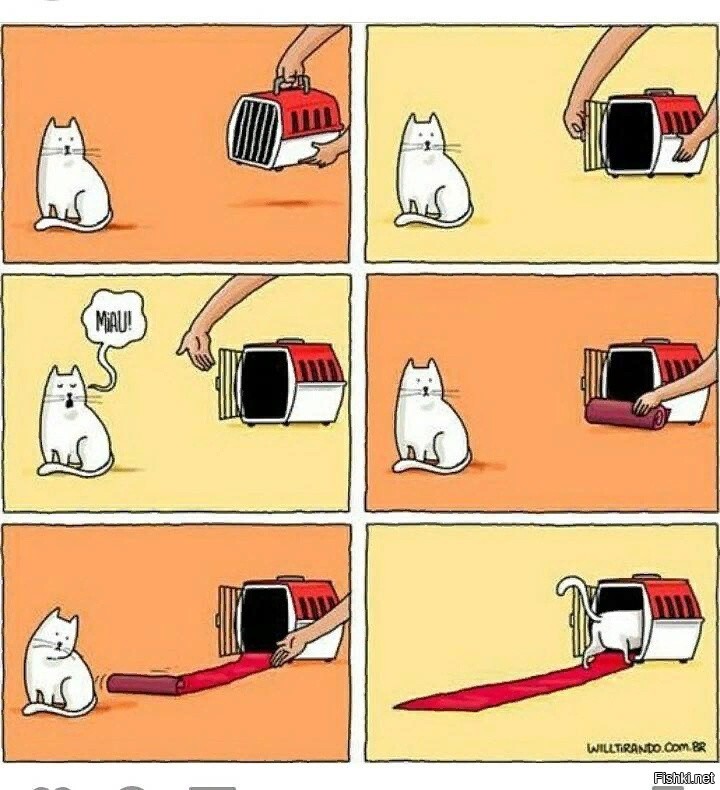 Солянка от 03.12.2021