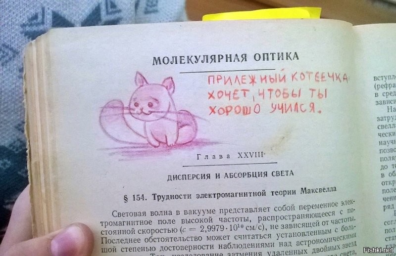 Солянка от 03.12.2021