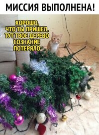 Елка злословия: над главной рождественской елью Лондона все смеются