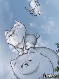 Солянка от 03.12.2021