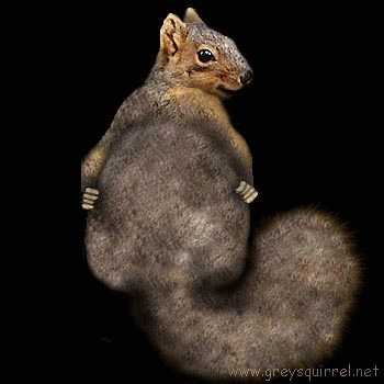 вот зараза)))