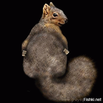 вот зараза)))