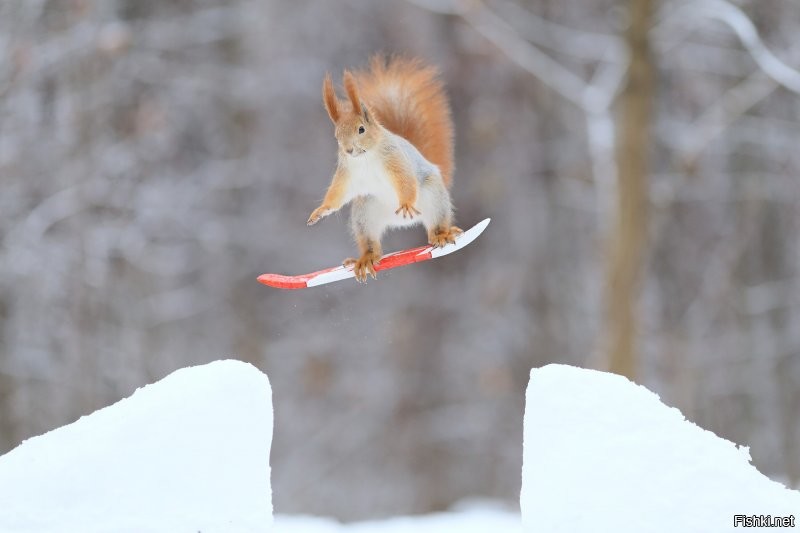 согласен, исправляй)