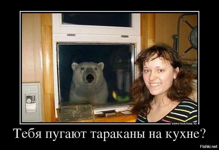 Защита от мишек