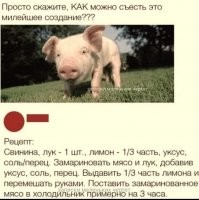 Картинки в чёрно-белых тонах. Выпуск 53