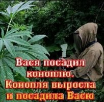 Вообще то был похожий анекдот про репку
Посадил дед репку. Репка откинулась и завалила деда...