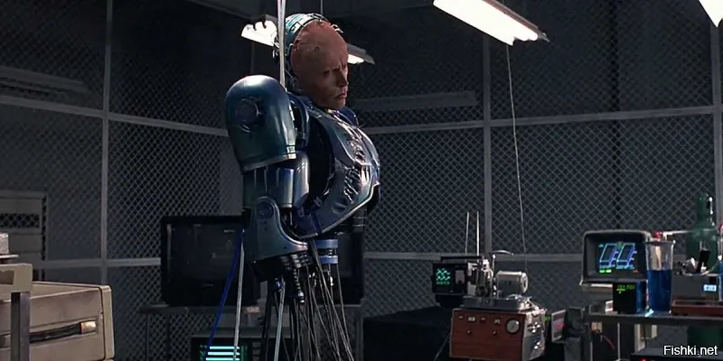 Как обычно - мозг отдельно, органы отдельно...