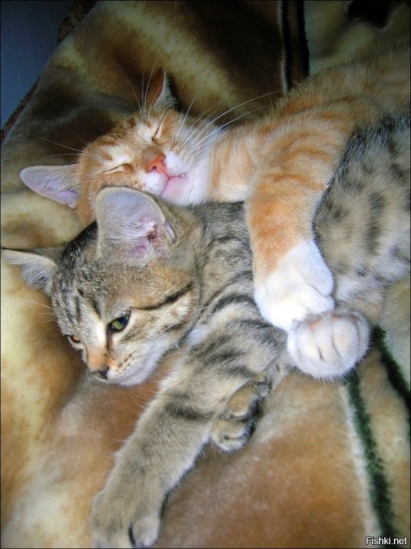 Надо как-то на работу выбираться..