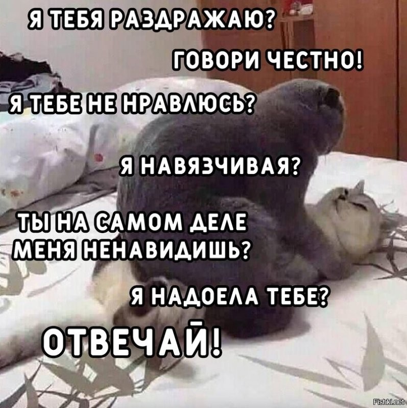 Солянка от 04.12.2021