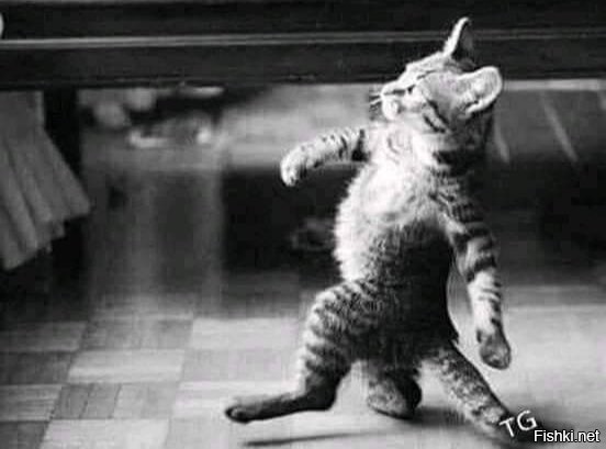 хоккей гонять будем!