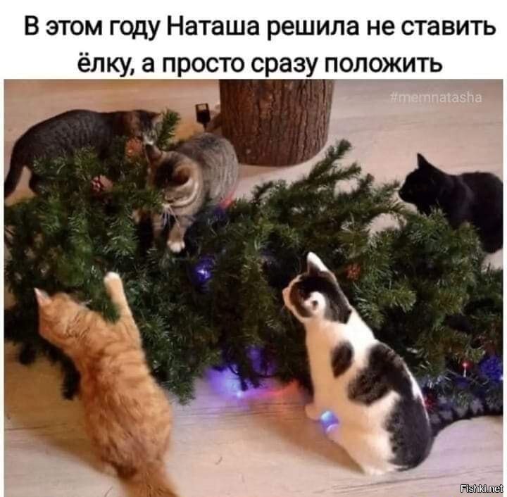 Солянка от 04.12.2021