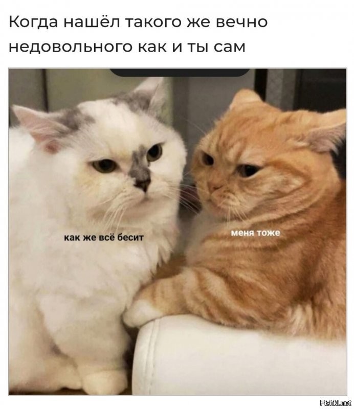 Солянка от 04.12.2021