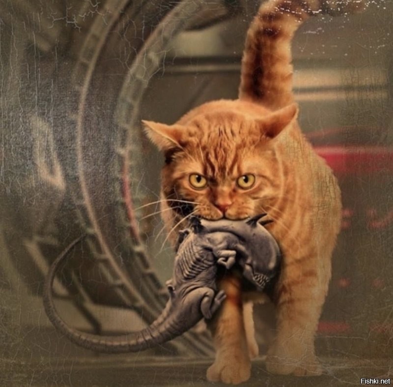 Солянка от 04.12.2021