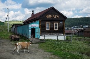 Где они еще были, экспэрты?
