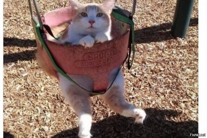 растим сыночка