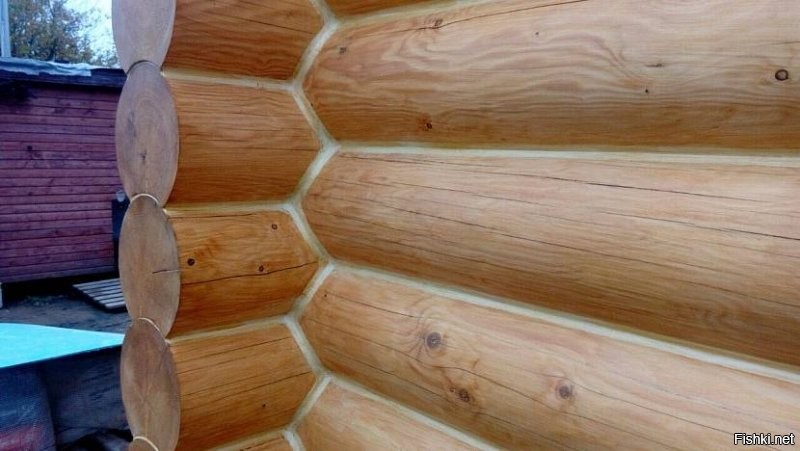 Солянка от 04.12.2021