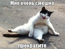 Кёрлинг на дороге: небольшое ДТП из Калининграда