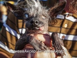 Скину тебе зеркало.