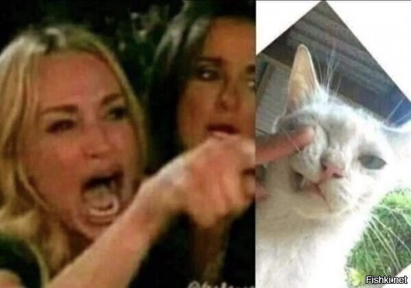 Солянка от 04.12.2021