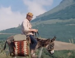 На каком виде транспорта хотел бы я покататься? На ишаке можно как Шурик из известного фильма :)