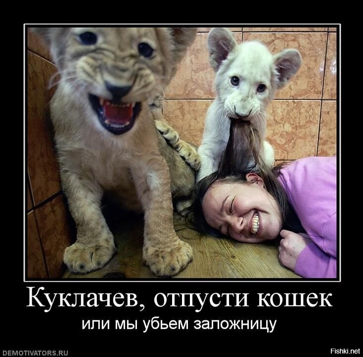 .
Отличная мысль!
Обязательно воспользуюсь Вашим советом.
Благодарю!
.