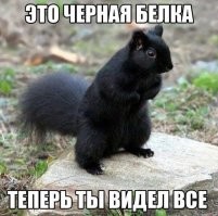 Она приходит к запойным афроамериканцам