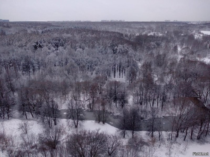 Утро 04.12.21