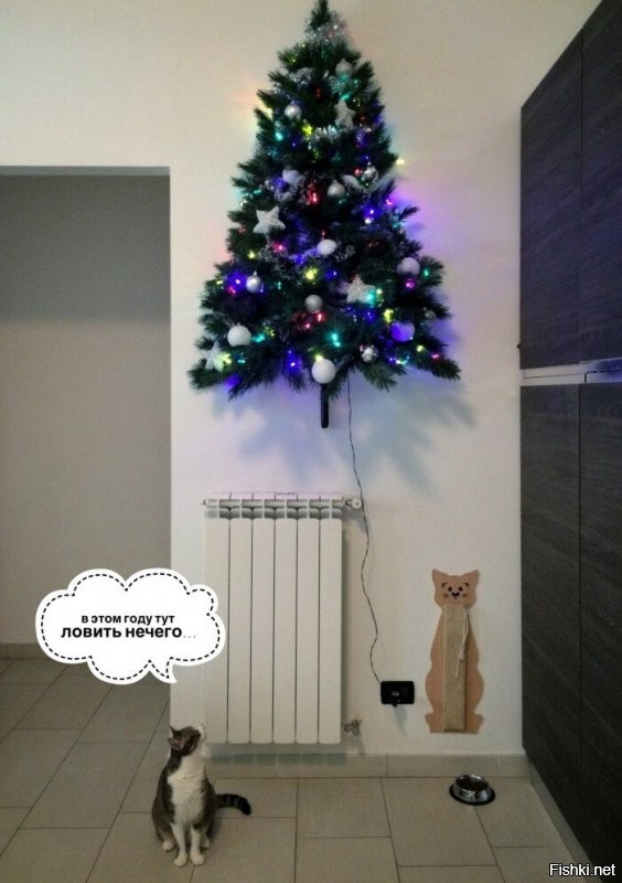 Солянка от 05.12.2021