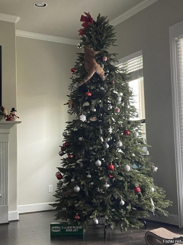 Солянка от 05.12.2021