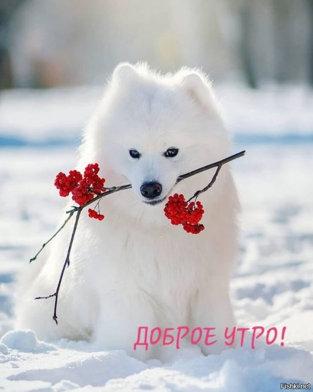 Все профессии нужны, все профессии важны. Доброго утра!