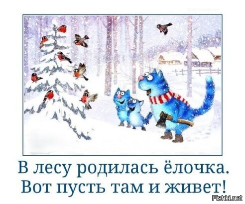 Солянка от 05.12.2021