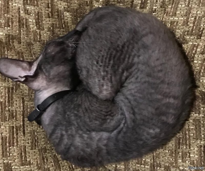 И моя дома )