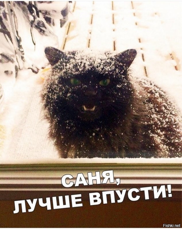 Солянка от 05.12.2021