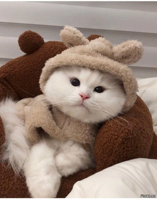 Привет )