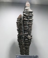 "Самый крупный дендрит, полученный в результате плавки, достигает 39 сантиметров в высоту и весит почти 3,5 килограмма."
Он образовался в слитке весом 100 тонн.