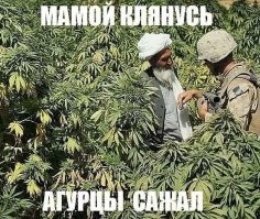 Картинки в чёрно-белых тонах. Выпуск 53