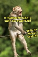 Это не цены на аренду сынок, это реальная жизнь.