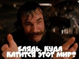 Кардинальное решение: двух глупых лебедей, не соблюдающих ПДД на шведской автотрассе, - пристрелили