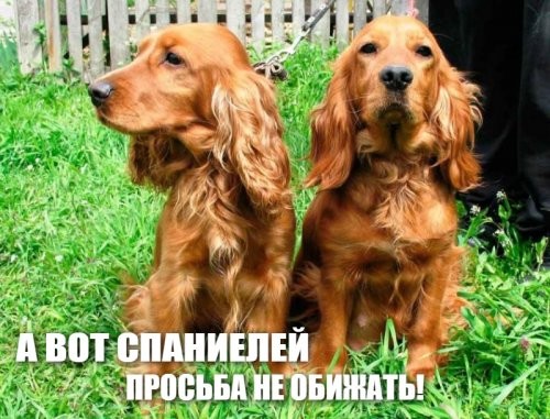 Солянка от 05.12.2021